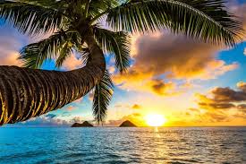 Isole Hawaii: consigli di viaggio per organizzare le tue vacanze