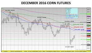 U S Corn Weekly Market Outlook Now What