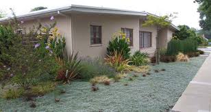 This front yard combines both a grass like this mexican feather grass and the sturdy succulent ground cover like iceplant with a few agaves for accents. Great Groundcovers To Consider As Lawn Substitutes Water News Network Our Region S Trusted Water Leader
