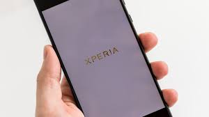 L1 (protein), a cell adhesion molecule. Sony Xperia L1 Review