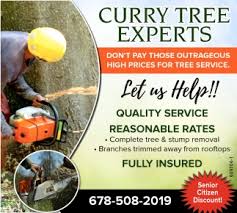 Tree removal in lawrenceville, ga. Complete Tree Stump Removal Curry Tree Experts Lawrenceville Ga