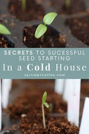 starting seeds in a cold house salt