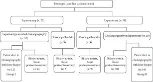 Data Flow Chart Of The Referred Prolonged Jaundice Patients