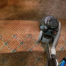 top 10 best area rug cleaning in eugene