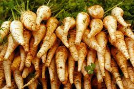 6 health benefits of parsnips you may