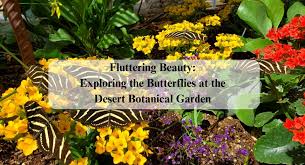 desert botanical garden