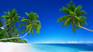 tropical beach paradise 5k ultra hd