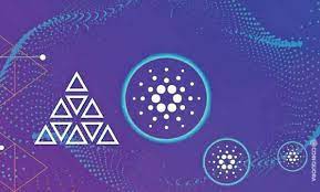 Cardano is objectively better than bitcoin. Cardano Nominated For Blockchain Solution Of The Year By Coinquora
