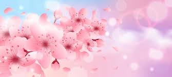 cherry blossom background vector art