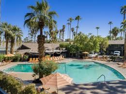 pet friendly hotels to book in palm springs