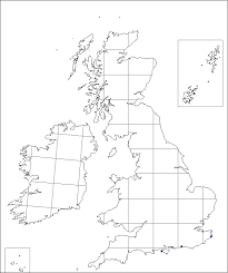 Orobanche artemisiae-campestris | Online Atlas of the British and ...