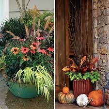 Amazing Fall Container Inspiration