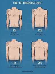What Body Fat Percentage To See Definition