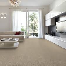 envision pattern carpet empire today