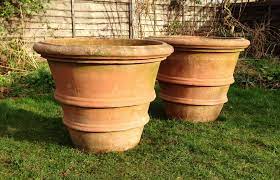 large terracotta garden pots patio plants