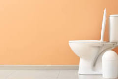 what-causes-the-ring-in-the-toilet-bowl