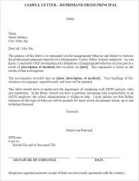 Sample Employee Reprimand Letter Form Template Employee Write Up