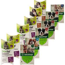 drontal worming treatment for dogs