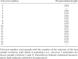 Measurements In Mm Of The Chevrons Of Eoraptor Lunensis Pvsj 512