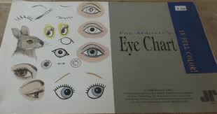 Fay Abbletts Full Color Eye Chart How To And 50 Similar Items