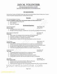 17 New Examples Of Objectives For Resumes Resume