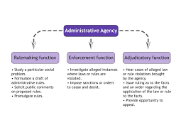 administrative law fundamentals of