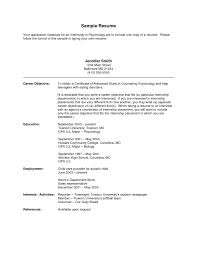 Career Objective Example Resume   Free Resume Example And Writing     Basic Job Appication Letter