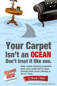 low moisture carpet cleaning birmingham al
