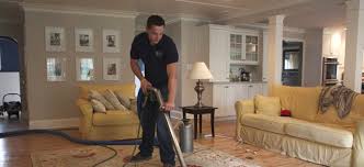 mountainside nj carpet cleaning experts