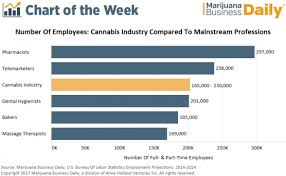Chart Cannabis Industry Employs 165 000 Plus Workers