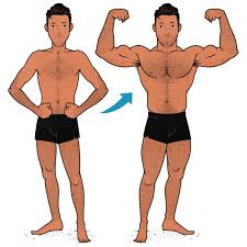 skinny guy s guide to body fat percene