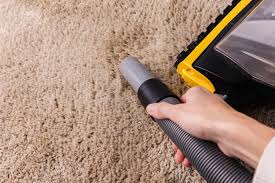 homemade carpet cleaner