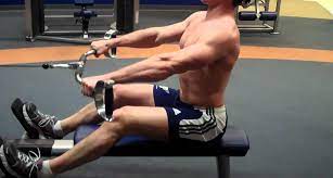 seated row exercise without machine