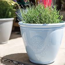Perfecting Your Plant Pots