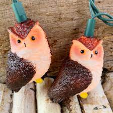 Brown Owl Party String Lights