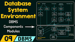 database system environment you