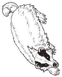 650 x 960 file type: The Badger Coloring Page