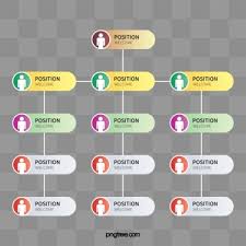 Organization Chart Png Vector Psd And Clipart With