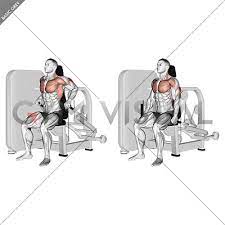 lever seated dip
