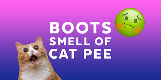 football boots smell of cat