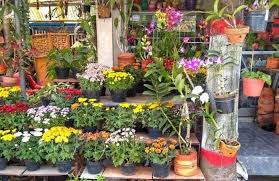Kebun bunga adalah salah satu kelurahan di kecamatan banjarmasin timur, kota banjarmasin, provinsi kalimantan selatan, indonesia. Tren Merawat Bunga Hias Di Taman Minimalis Rumahan Intens