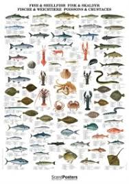 Atlantic Ocean Fish Chart Pacific Big Game Fish