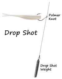Drop Shots Effectiveness Teach Em To Fish Barry Dodd