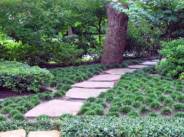 Turf grass covers nearly 47 million acres in the u.s., according to the lawn institute. Alternatives To Grass Front Yard Landscaping Ideas The Garden Glove