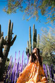 desert botanical garden