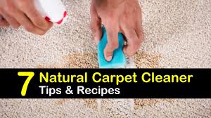 homemade carpet cleaner homemade carpet