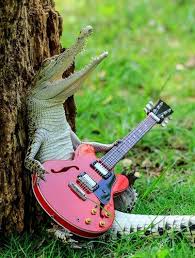 Global Times - 【Odd】A baby crocodile holds an electric guitar as it leans  against a tree at a crocodile breeding sanctuary in Tangerang, Indonesia.  Photo: IC http://www.globaltimes.cn/content/1030457.shtml | Facebook