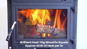 Black Zs10 Cast Iron Wood Burning Fireplace