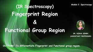 fingerprint region functional group