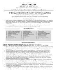 Cover Letter Resume For Information Technology Manager Position Best